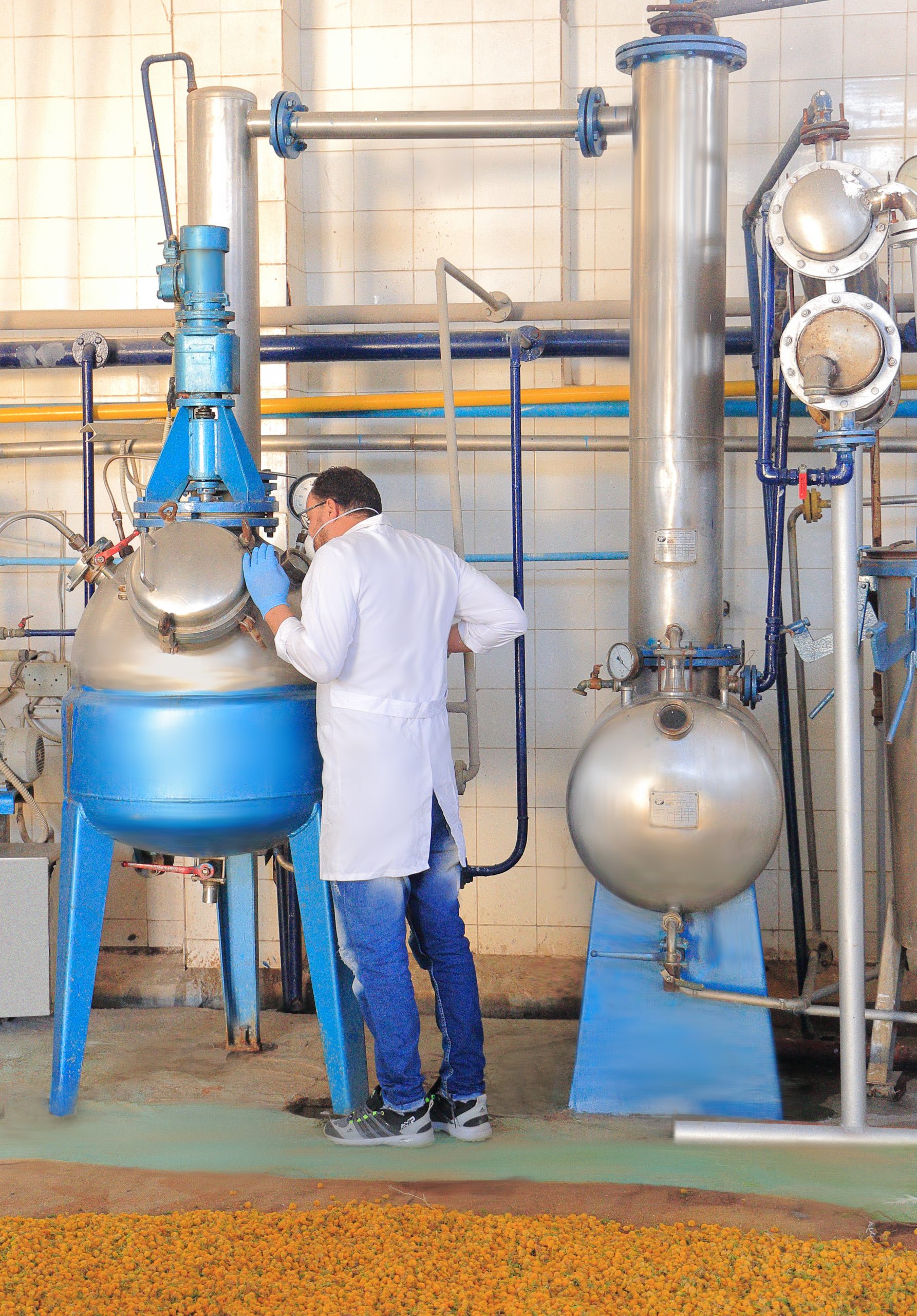 Polished stainless steel distillation column with fresh botanical leaves on the floor