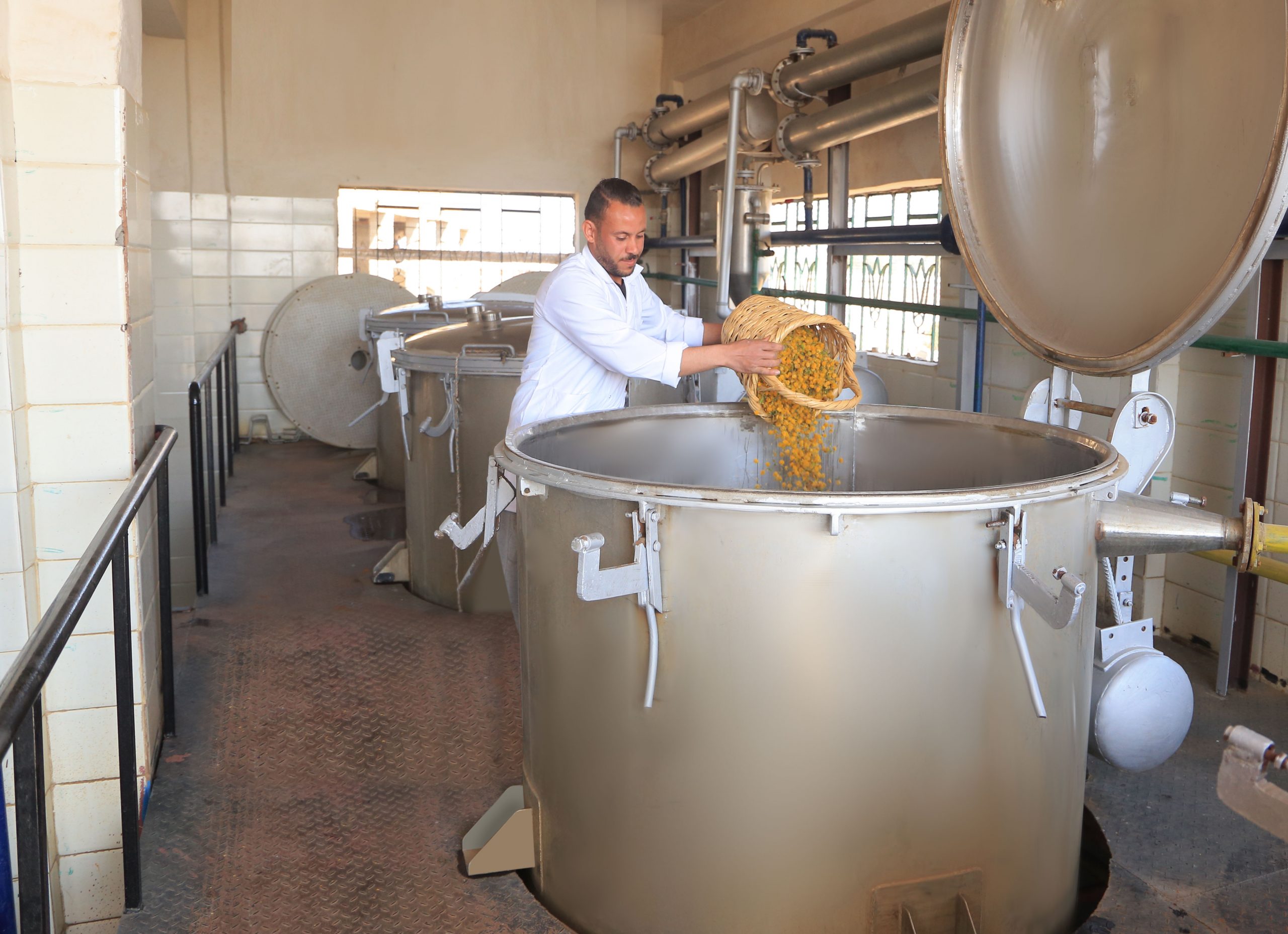 Sadat City Factory Image