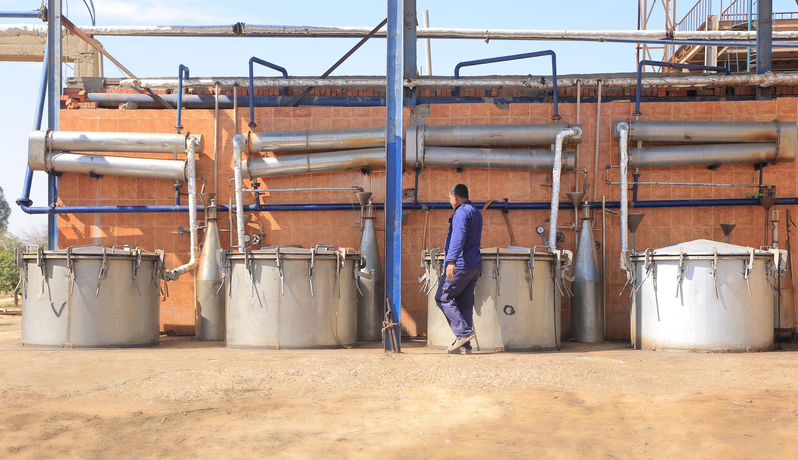 Distillation Image
